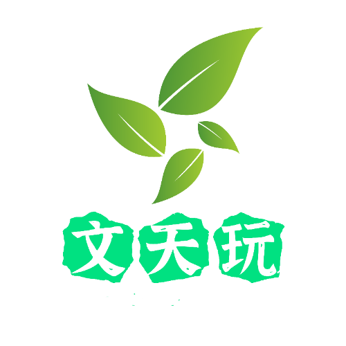 文天玩